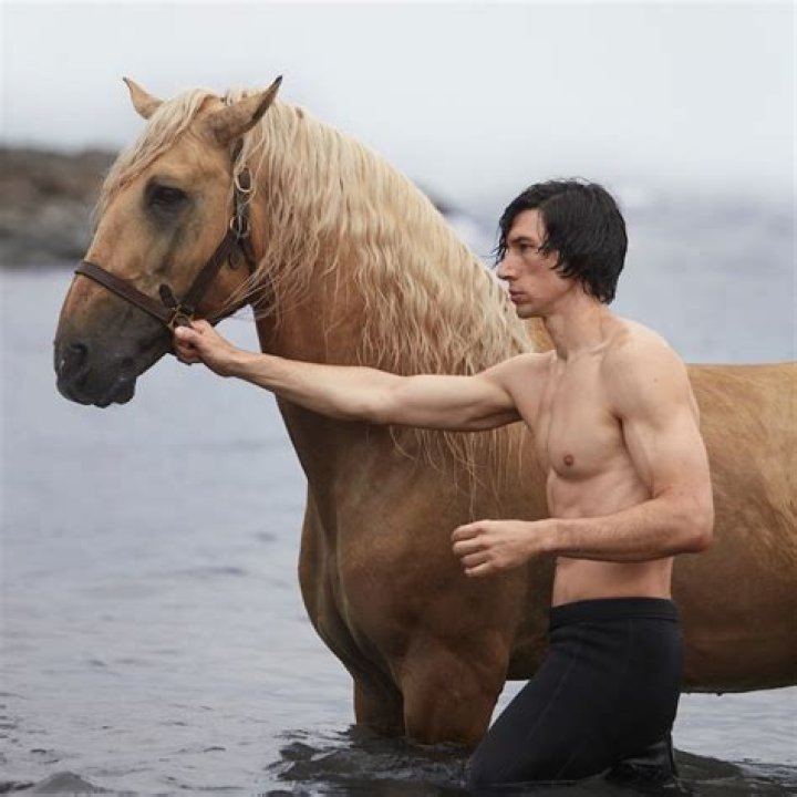 Adam Driver Shows Off Abs In Shirtless Burberry Ad Video — Watch – Hollywood Life