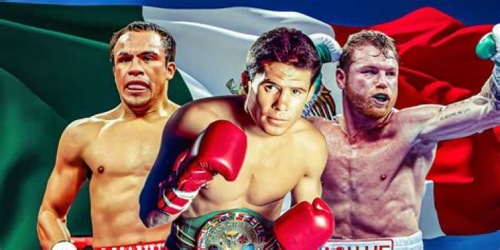 Canelo Alvarez Vs. Julio Cesar Chavez Jr. — See Pics