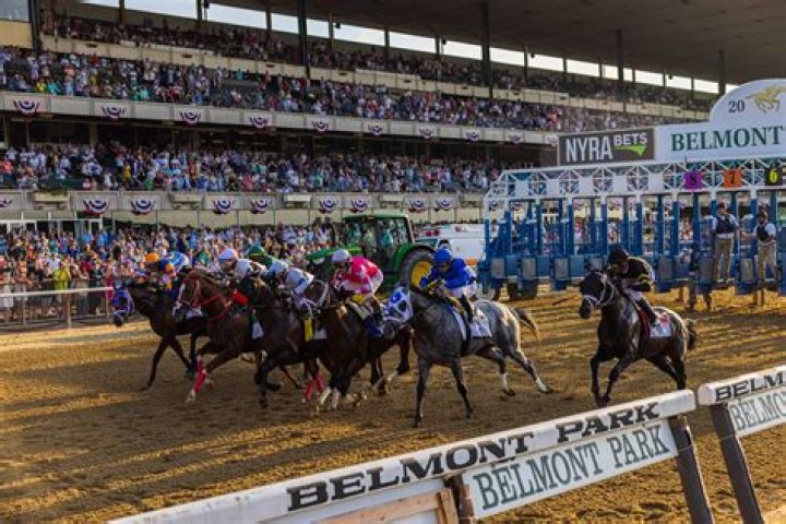 Belmont Stakes 2016: Meet The Horses — SEE PICS