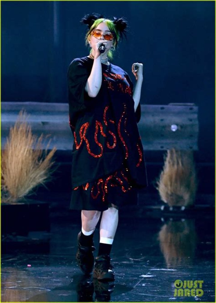 Smolders In Sexy Performance Of ‘Therefore I Am’ – Hollywood Life