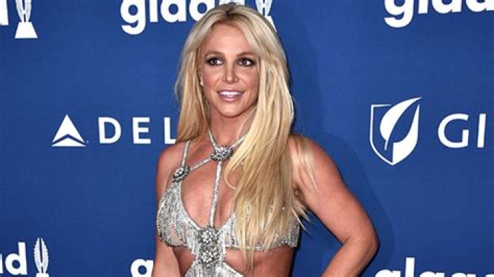 Britney Spears Struts Through Her Backyard In Daisy Dukes & A Crop Top — Watch