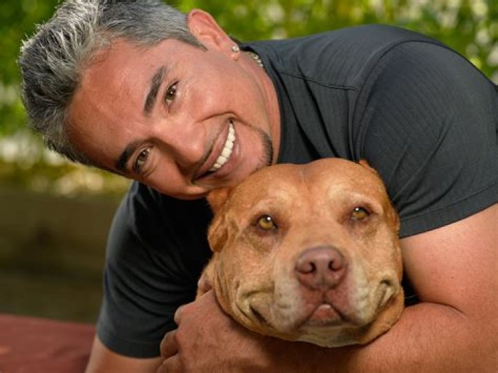 Cesar Millan – Hollywood Life