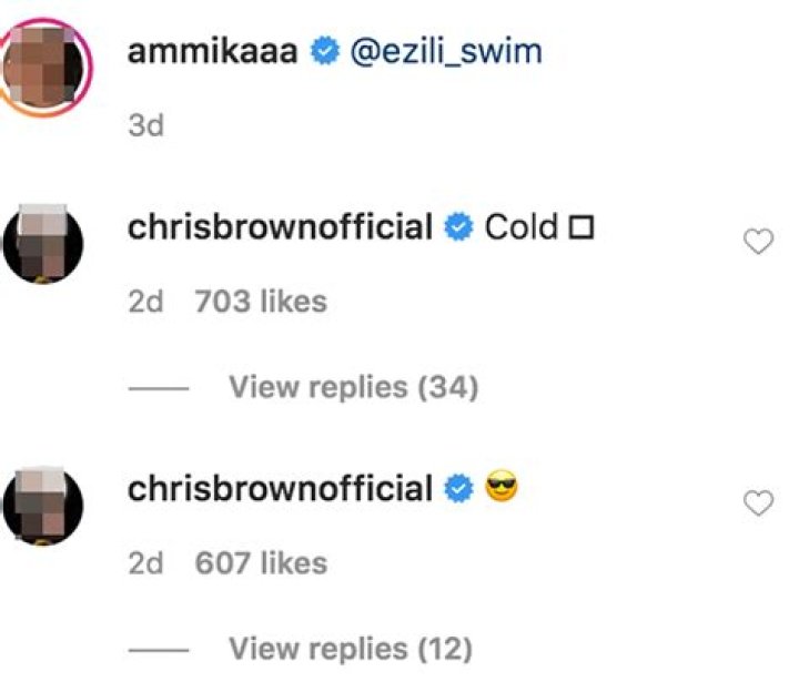 Chris Brown Flirts With Ammika Harris On Instagram After She Posts Sexy New Bikini Pic