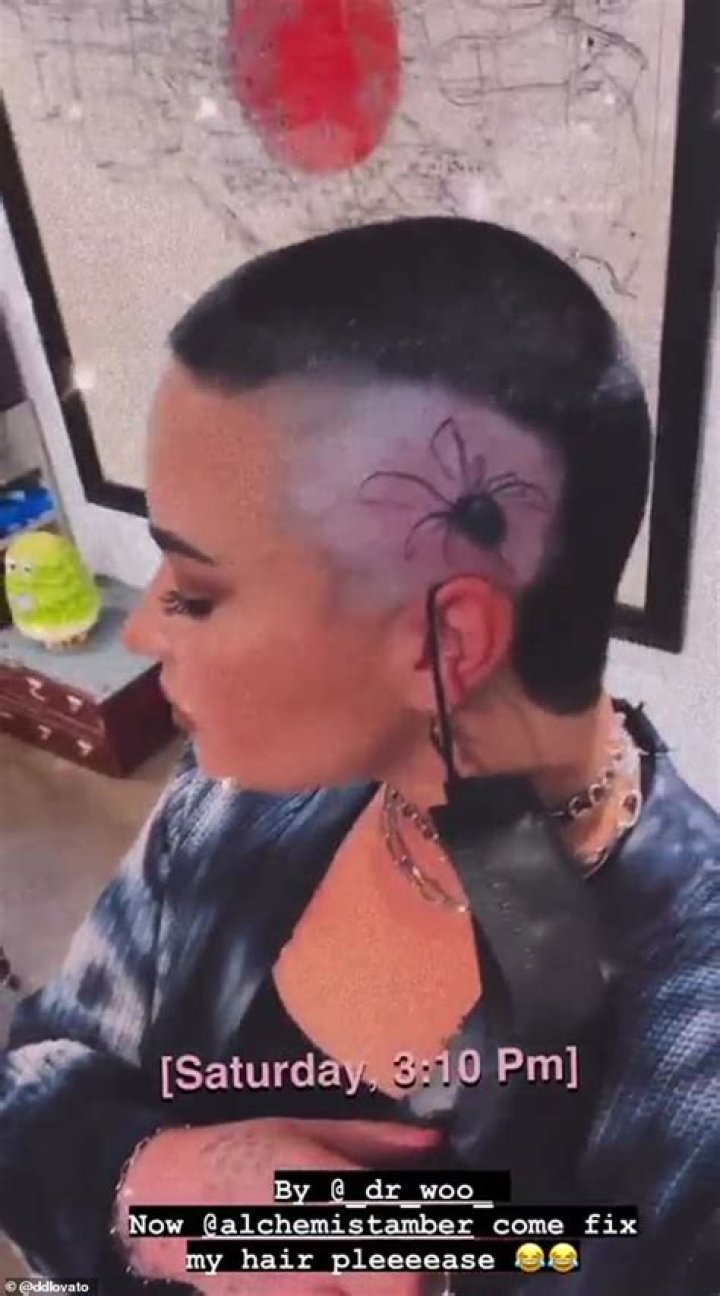 Demi Lovato’s Spider Tattoo On Skull: Video – Hollywood Life