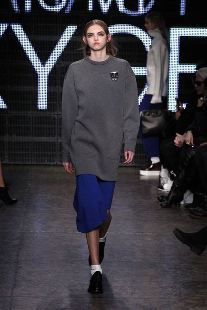 DKNY Fall 2015 Collection — SEE PICS