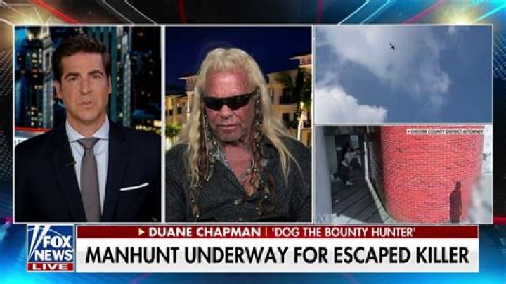 Dog Meets An Excited Fan On Hunt – Hollywood Life