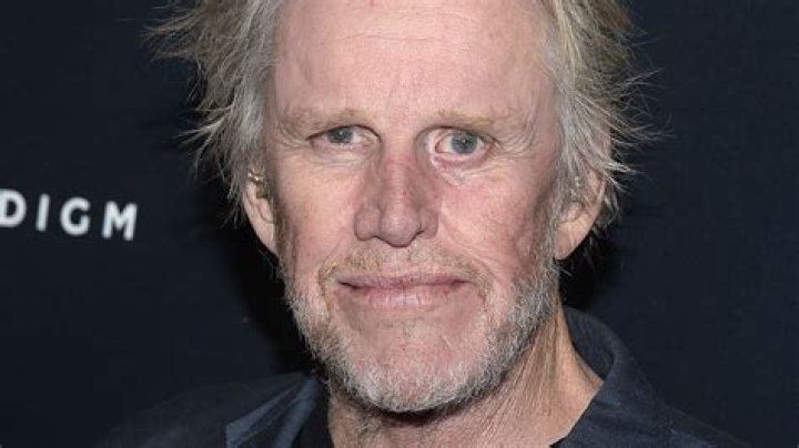 Gary Busey – Hollywood Life
