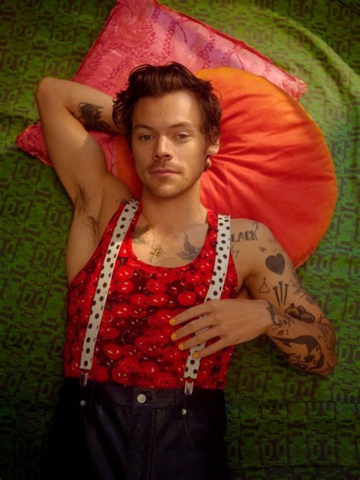 Harry Styles’ ‘Kiwi’ Music Video — PICS