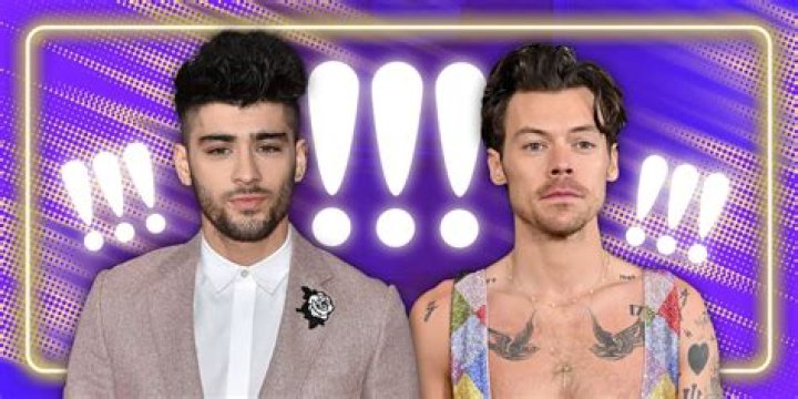 Harry Styles Dismisses Zayn Malik’s 1D Comments? He ‘Should Watch His Words’ — Report