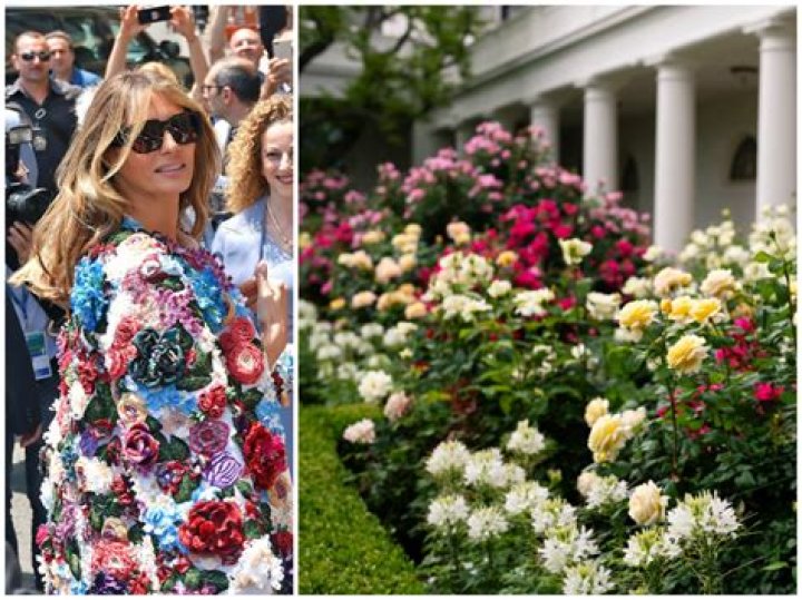 Jill Biden Shows Support For Melania Trump After Posting A Photo Of Her Rose Garden – See Pic