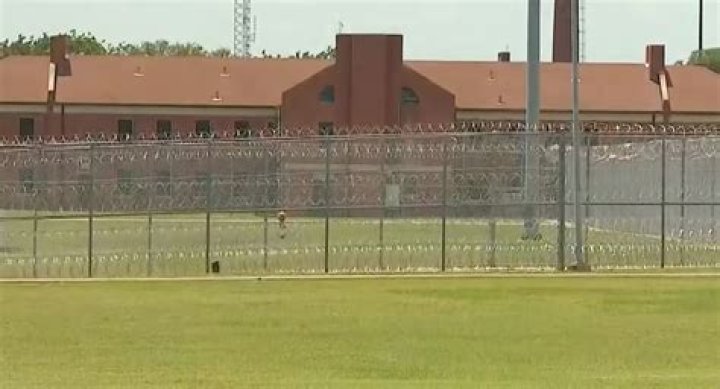 What He’s In For – Hollywood Life