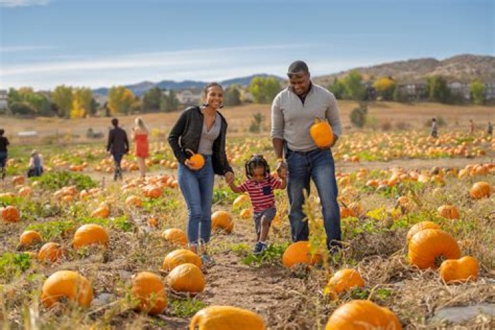 Kate Hudson Takes Her Adorable Family To Pumpkin Patch In Santa Monica — Photos