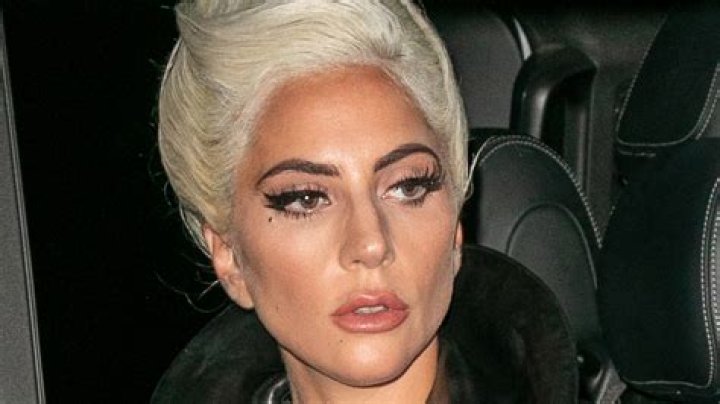 Lady Gaga’s French Bulldogs Returned After Terrifying Dognapping & Shooting