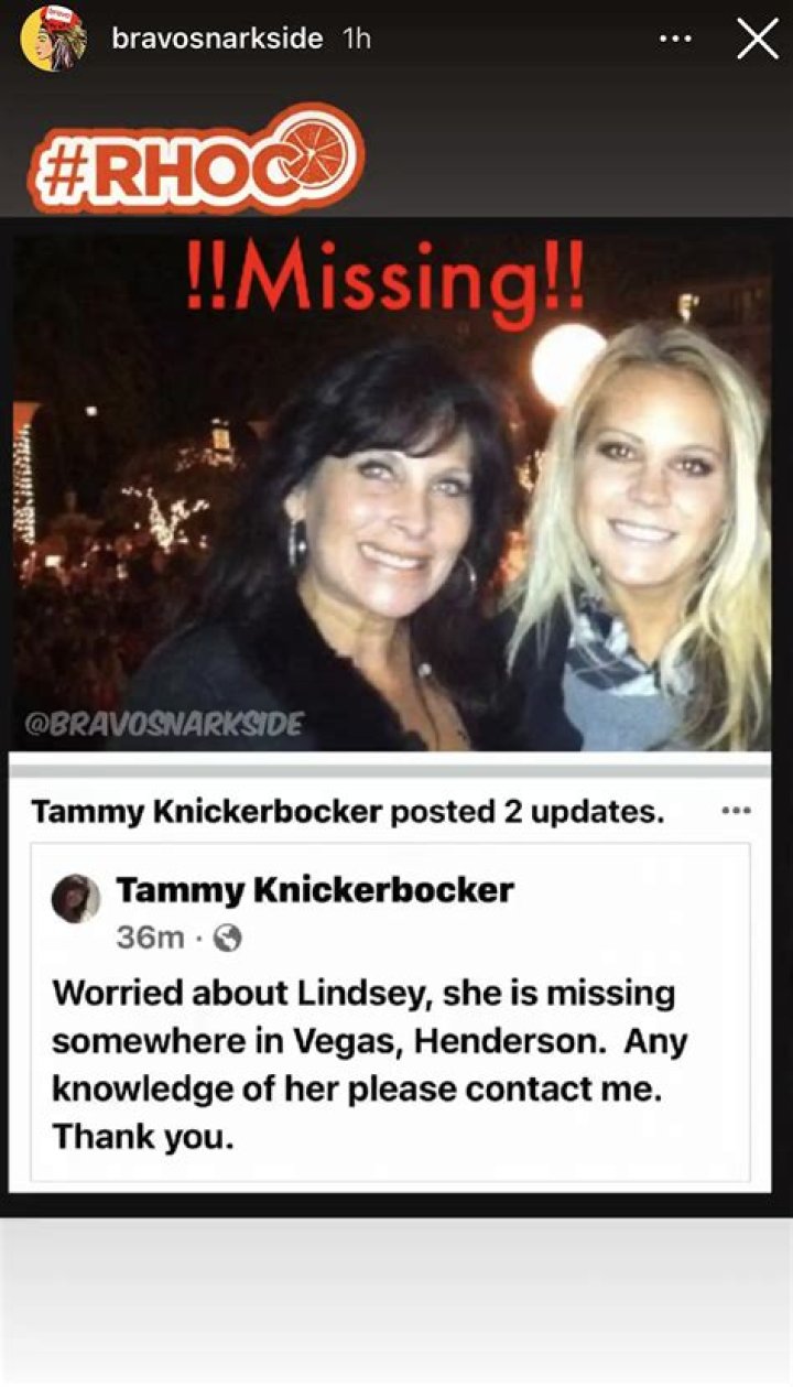 Lindsey Knickerbocker Arrested For Punching A Cop — ‘RHOC’ Tammy’s Daughter – Hollywood Life