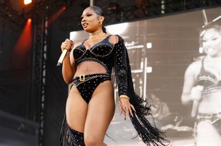 Megan Thee Stallion’s Stretch Marks: Photo – Hollywood Life