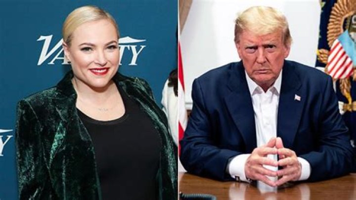 Meghan McCain Trolls Trump After Arizona Loss With John McCain Meme – Hollywood Life