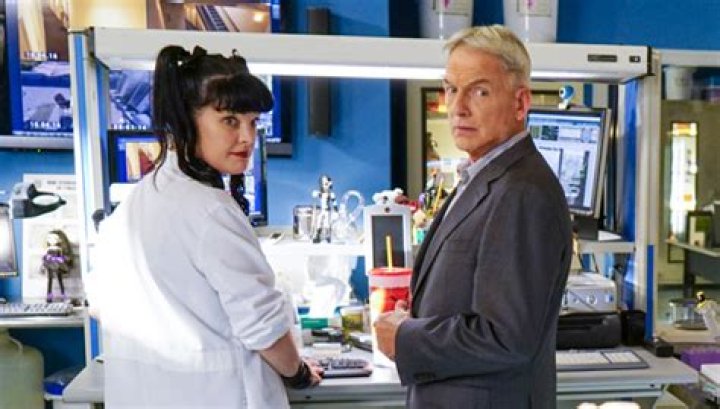 ‘NCIS’ Star Pauley Perrette Is ‘Terrified’ Of Co-Star Mark Harmon – Hollywood Life