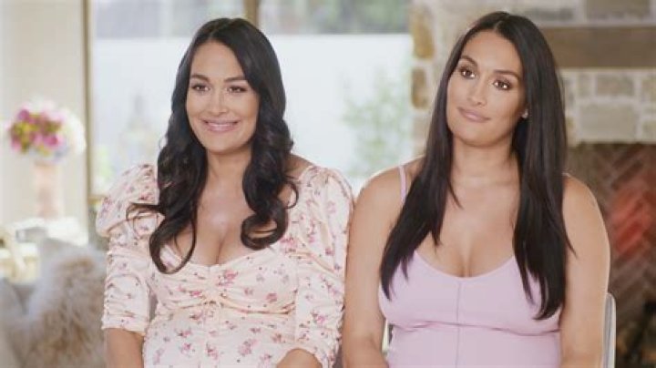 Nikki Bella Jealous Of Artem, Kaitlyn & DWTS, She Says On Total Bellas – Hollywood Life