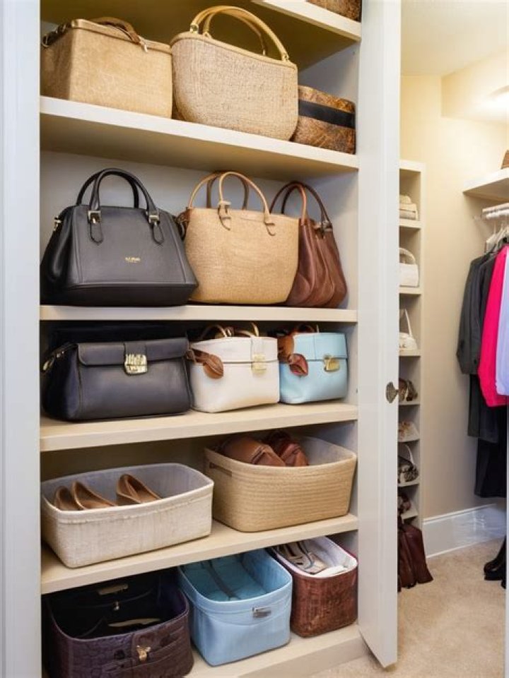 North West, 8, Shows Off Her Impressive Closet & Large Handbag Collection In House Tour – Watch