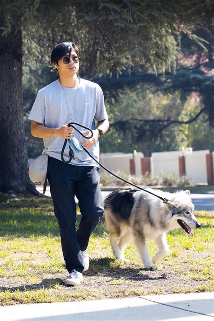 Pax Jolie-Pitt Walks His Dog After Angelina Accuses Brad Of Abuse – Hollywood Life