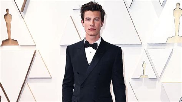 Shawn Mendes Flies Solo At His First Oscars After Camila Cabello Split: See Photos