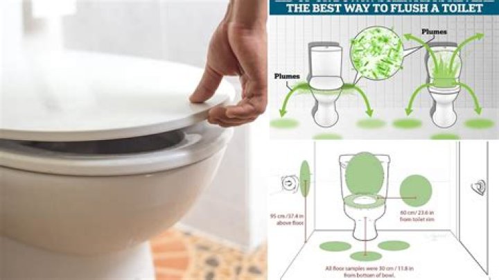 Sia Goes To The Bathroom During A Radio Interview & Has No Shame: ‘Stars Are Just Like Us’