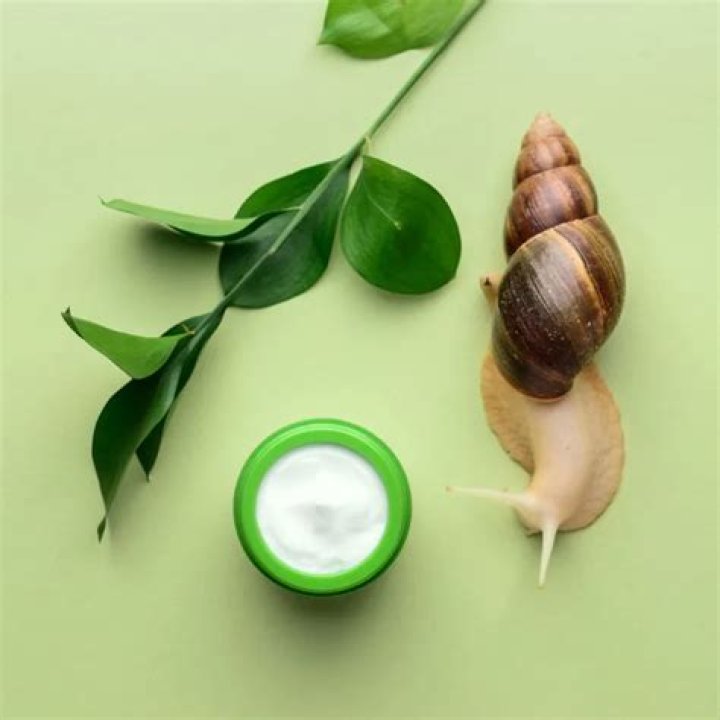 Shop Viral TikTok Skincare Obsession – Hollywood Life