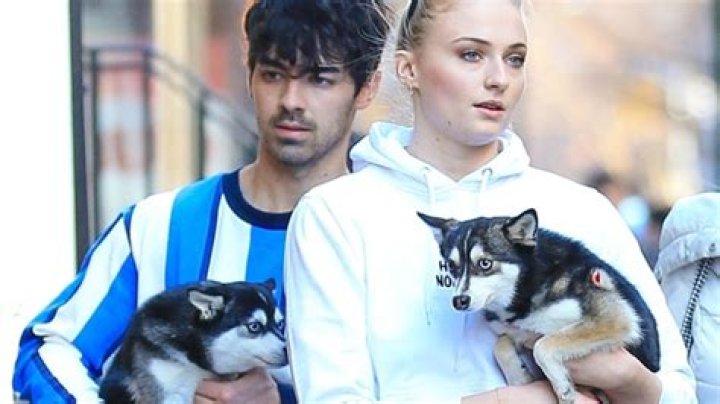 Sophie Turner Gets Emotional Holding Her Dog On Joe Jonas’ Music Video Set After 2nd Pup Dies