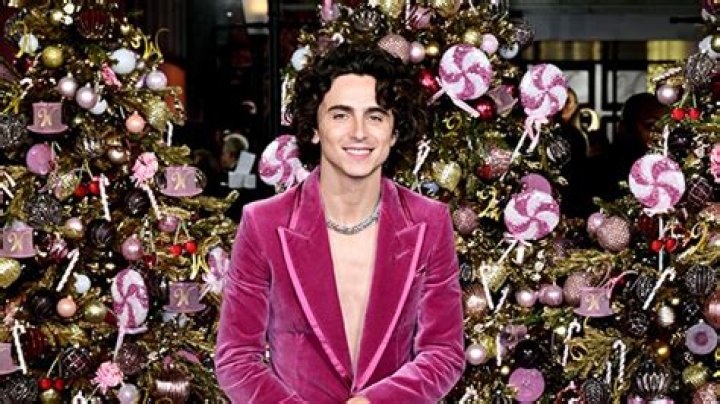 Timothee Chalamet Wears Pink Velvet Suit to London ‘Wonka’ Premiere – Hollywood Life